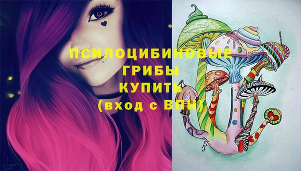 Альфа ПВП Переславль-Залесский