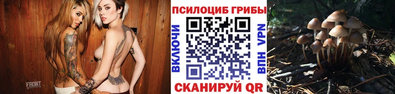 Псилоцибиновые грибы MAGIC MUSHROOMS как найти наркотики Ивдель